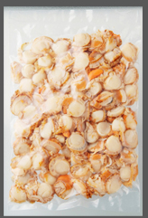 BOILED HOTATE